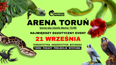 Egzotyczne Zwierzęta Toruń