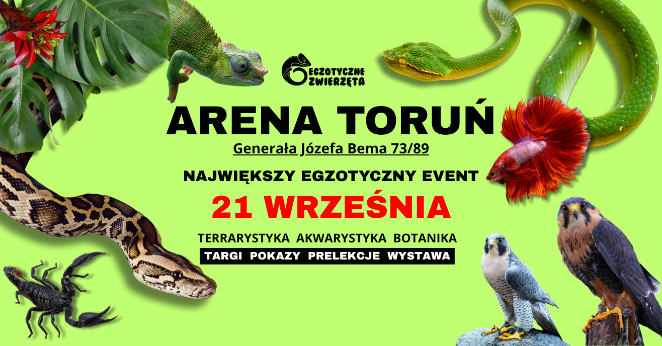 Egzotyczne Zwierzęta Toruń