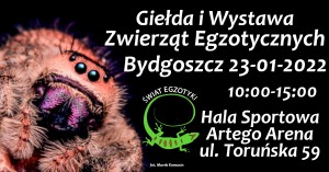 Świat Egzotyki - Bydgoskie Targi Terrarystyczne i Botaniczne | Giełda i Wystawa Zwierząt Egzotycznych 23-01-2022r.