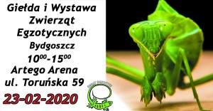 Świat Egzotyki - Bydgoskie Targi Terrarystyczne i Botaniczne | Giełda i Wystawa Zwierząt Egzotycznych 23-02-2020r.