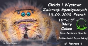 Świat Egzotyki - Poznańskie Targi Terrarystyczne i Botaniczne | Giełda i Wystawa Zwierząt Egzotycznych 13-09-2020