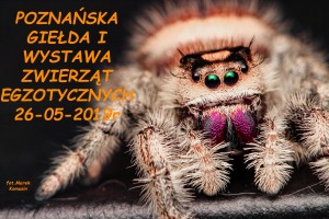 Świat Egzotyki - Poznańskie Targi Terrarystyczne i Botaniczne | Giełda i Wystawa Zwierząt Egzotycznych