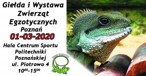 Świat Egzotyki - Poznańskie Targi Terrarystyczne i Botaniczne | Giełda i Wystawa Zwierząt Egzotycznych 01-03-2020r.