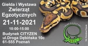 Świat Egzotyki - Poznańskie Targi Terrarystyczne i Botaniczne | Giełda i Wystawa Zwierząt Egzotycznych 21-11-2021r CITYZEN 