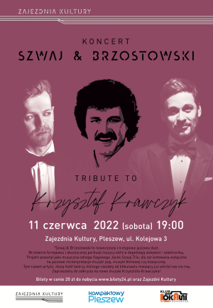 Koncert Szwaj & Brzostowski