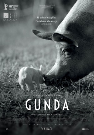 OFF CINEMA 2021: Gunda - POKAZY SPECJALNE