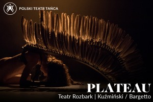 PLATEAU | Kuźmiński / Bargetto | Teatr Rozbark