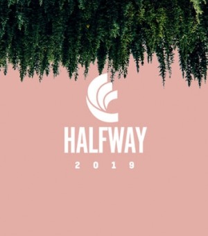 HALFWAY FESTIVAL, KARNET TRZYDNIOWY, 28.06.2019-30.06.2019