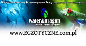 Water&Dragon  – Wystawa Zwierząt i Targi Egzotyczne