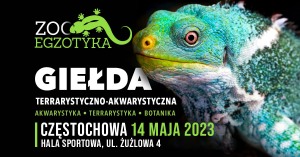 ZooEgzotyka Częstochowa