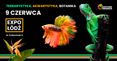 Bilety na wydarzenie - Egzotyczne Zwierzęta - 9 Czerwca ŁÓDŹ - TERRARYSTYKA KWARYSTYKA BOTANIKA, Łódź