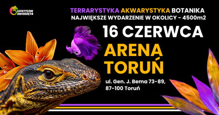 Bilety na wydarzenie - Egzotyczne Zwierzęta TORUŃ 16 CZERWCA - TERRARYSTYKA, AKWARYSTYKA BOTANIKA, Toruń