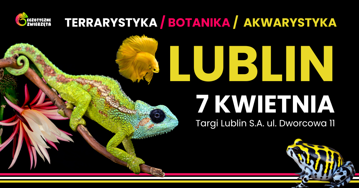 Targi Lublin S.A.